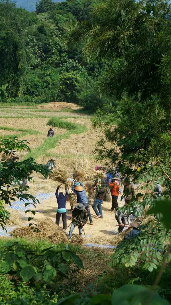 Laos 2