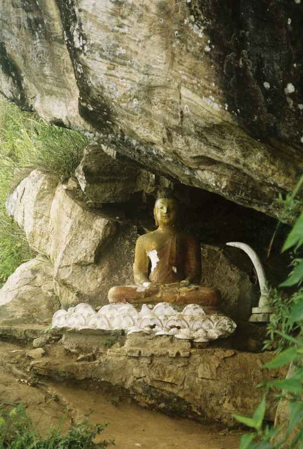 Sri Lanka 14